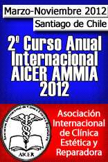 banner_AICER CHILE 2012_cce19b358f89b9d9eda2d90135be475a