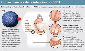 infeccion_por-vph_21b39ef0c42d1326d9bc8c55c51479c2