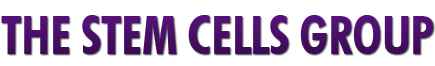 The Stem Cells Group